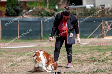 IMG_3644.jpg