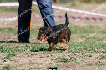 IMG_3673.jpg