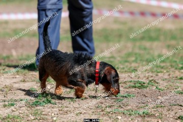 IMG_3676.jpg