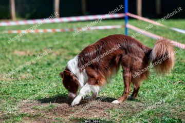 IMG_3699.jpg