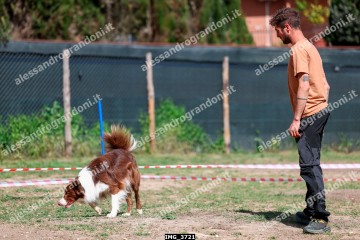 IMG_3721.jpg