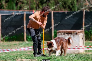 IMG_3732.jpg