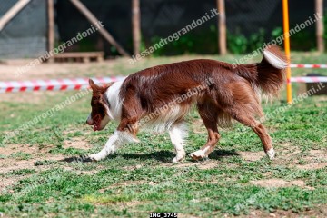 IMG_3745.jpg