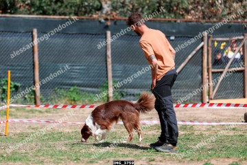IMG_3759.jpg