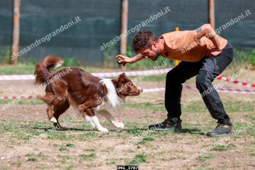 IMG_3787.jpg