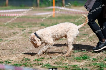 IMG_3812.jpg