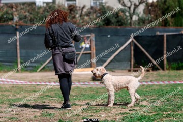 IMG_3835.jpg
