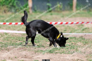 IMG_3901.jpg