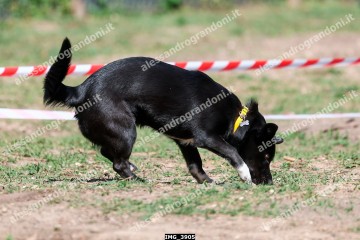 IMG_3905.jpg