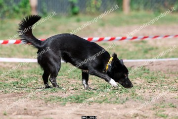 IMG_3910.jpg