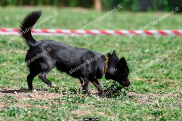 IMG_3934.jpg