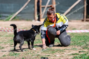 IMG_3991.jpg