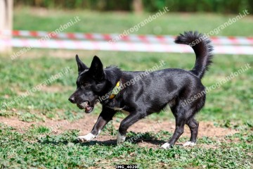 IMG_4029.jpg