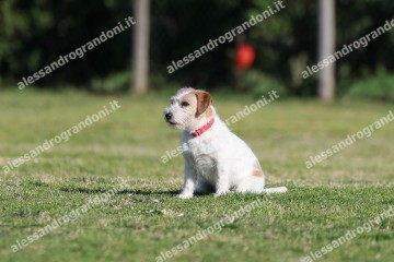 IMG_2168.jpg