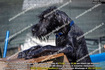 496A3471.jpg