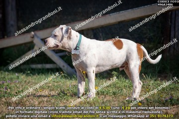 496A3486.jpg