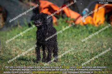496A3509.jpg
