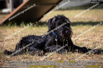 496A3577.jpg