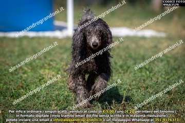 496A3579.jpg