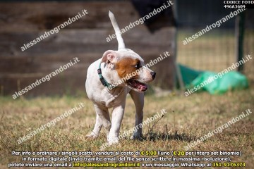 496A3609.jpg