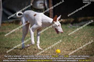 496A3822.jpg