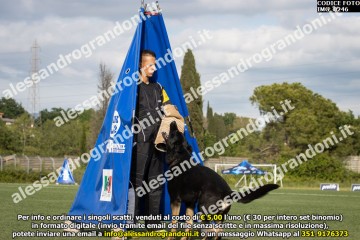IMG_0246.jpg