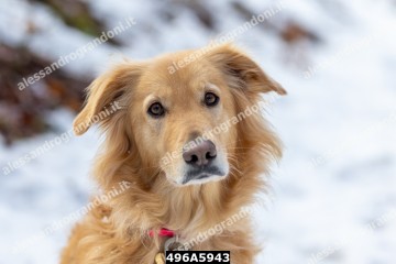 496A5943.jpg