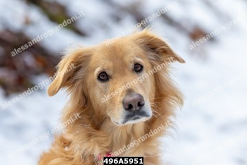 496A5951.jpg