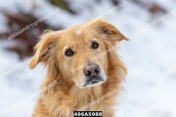 496A5988.jpg