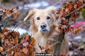 496A6188.jpg