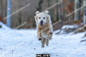 IMG_6787.jpg