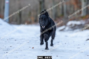 IMG_6837.jpg