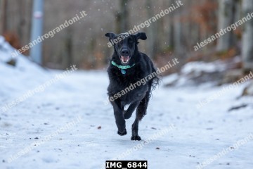 IMG_6844.jpg