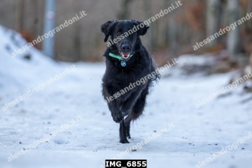 IMG_6855.jpg