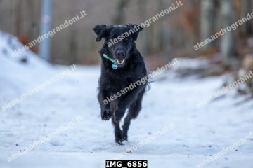 IMG_6856.jpg