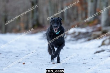 IMG_6885.jpg