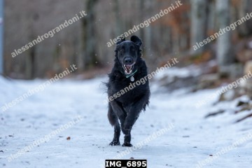 IMG_6895.jpg