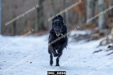 IMG_6896.jpg