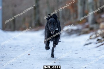 IMG_6897.jpg