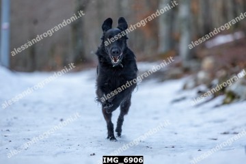 IMG_6906.jpg