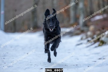 IMG_6907.jpg