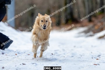 IMG_6989.jpg