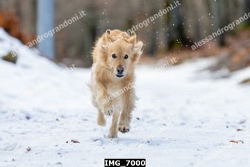 IMG_7000.jpg