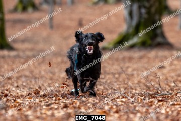 IMG_7048.jpg
