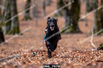 IMG_7078.jpg