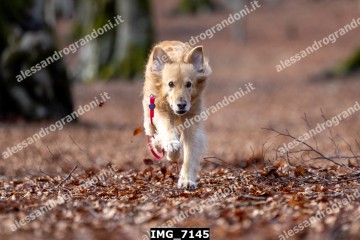 IMG_7145.jpg