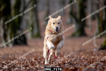 IMG_7176.jpg
