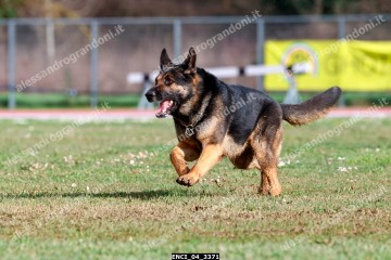 ENCI_04_3371.jpg