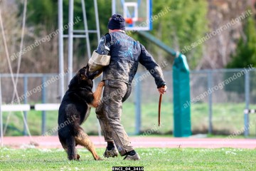 ENCI_04_3410.jpg