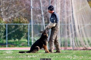 ENCI_04_3417.jpg
